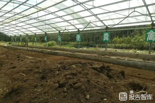 2022环保肥料行业前景如何（环保肥料现状及趋势分析）