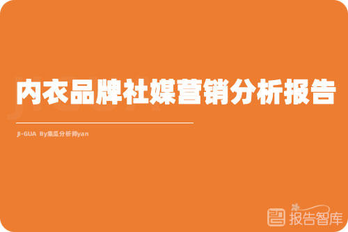 2022社媒营销趋势解析，内衣行业分析和市场分析报告