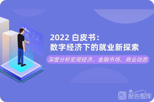 数字经济就业方向及前景，数字经济就业影响研究报告
