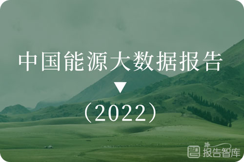 2021能源行业未来发展趋势，中国能源大数据分析报告