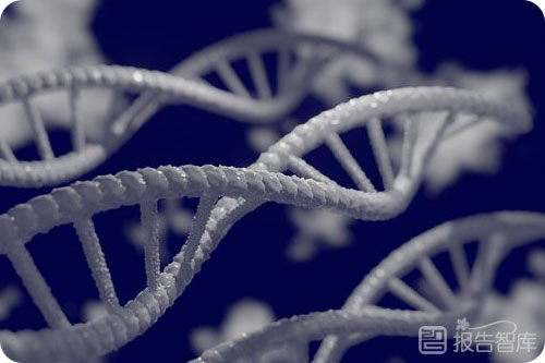 基因检测行业发展前景（基因检测行业未来发展趋势）