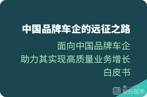 中国车企海外市场分析，中国汽车进军国外市场报告