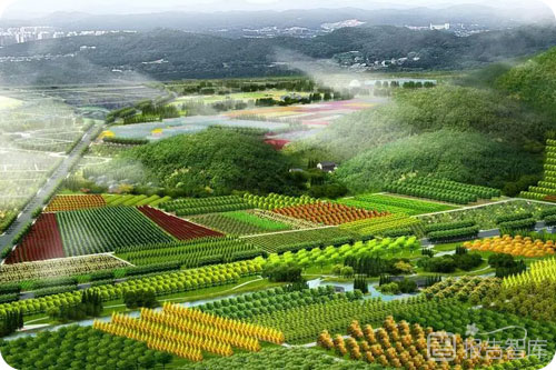 生态农业发展前景如何？生态农业发展前景及具体措施
